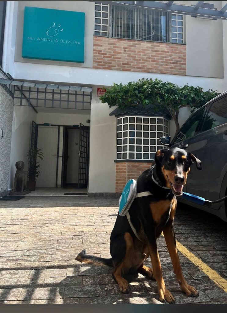 WhatsApp Image 2026-03-18 at 16.13.22