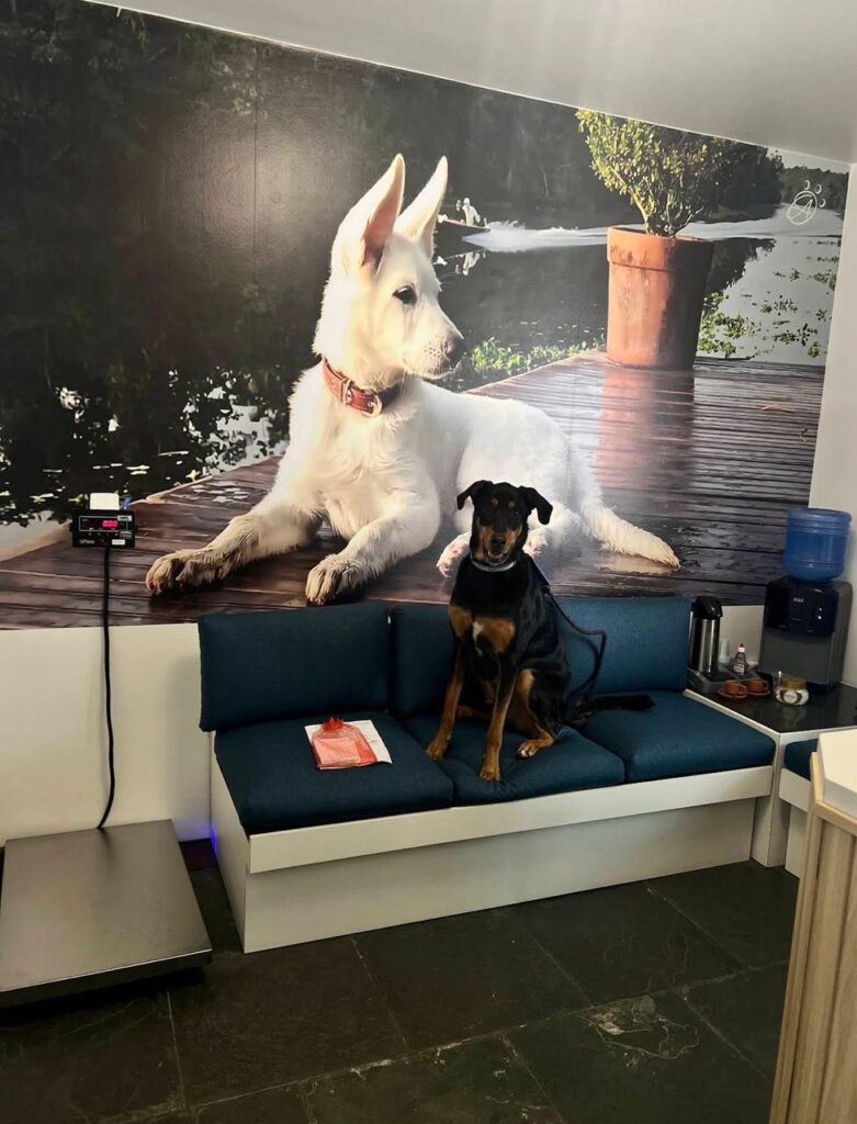 WhatsApp Image 2026-03-18 at 16.13.23 (1)