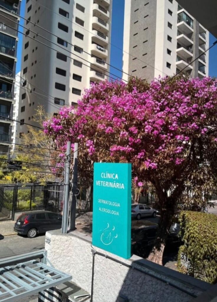 WhatsApp Image 2026-03-18 at 16.13.23 (2)